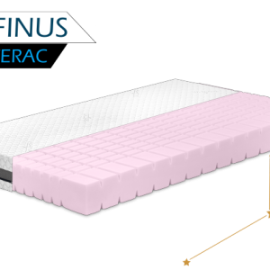 Delfinus