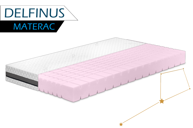 Delfinus