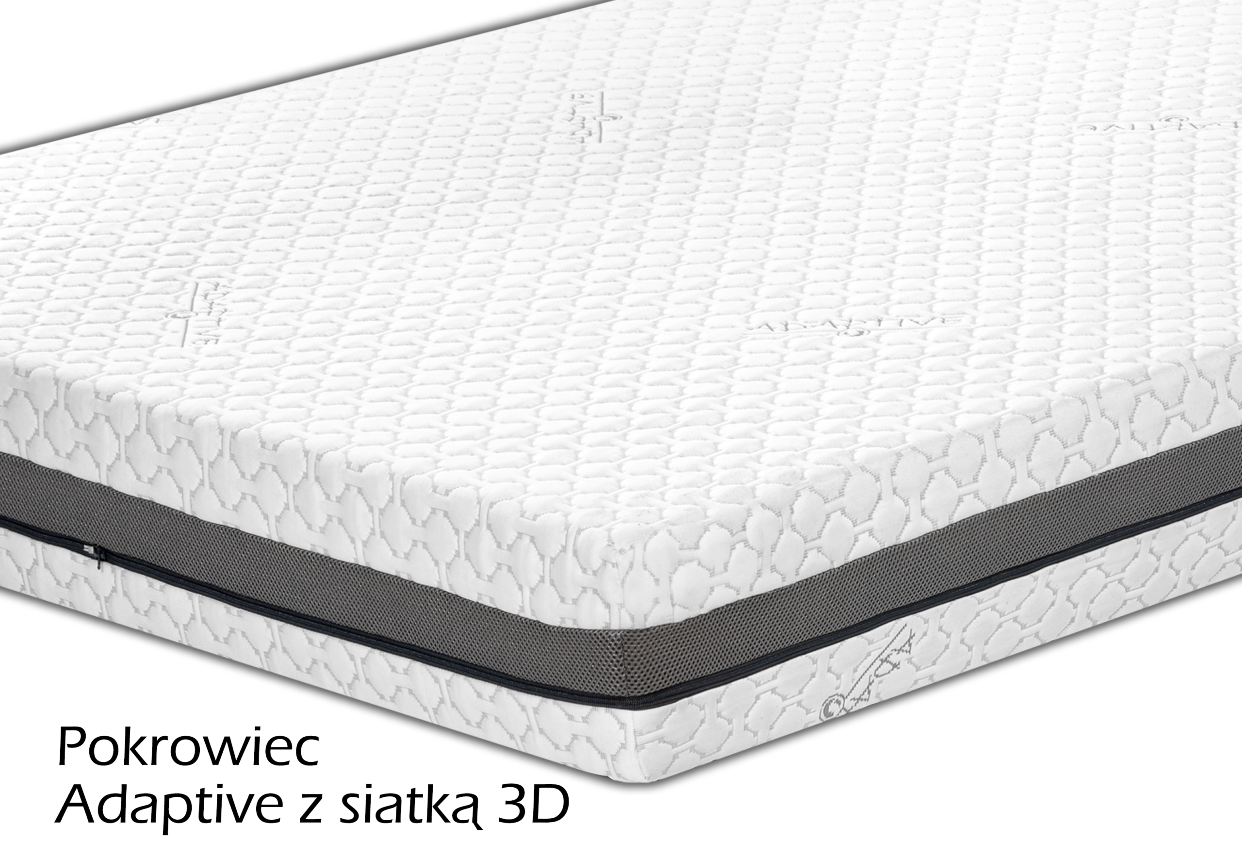 Delfinus - obrazek 4
