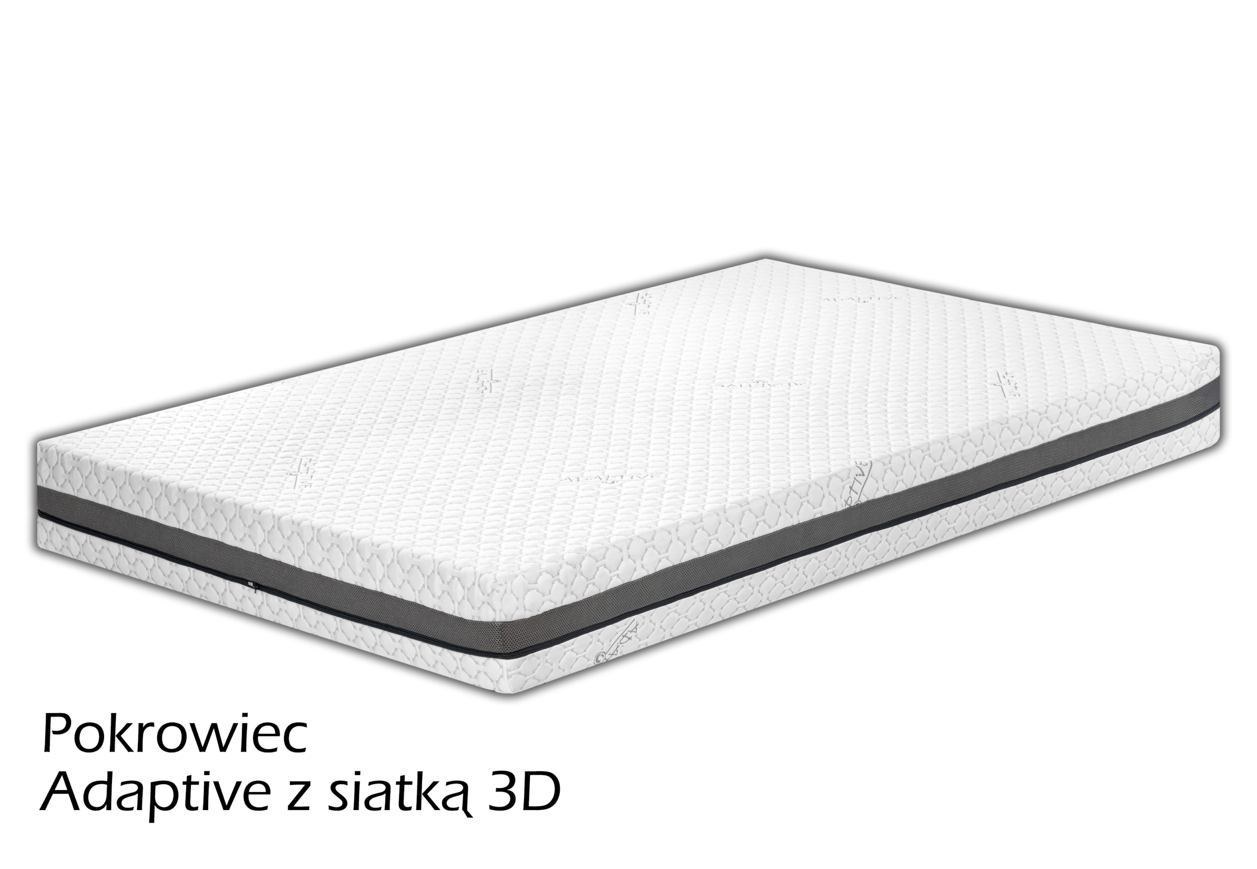 Delfinus - obrazek 3