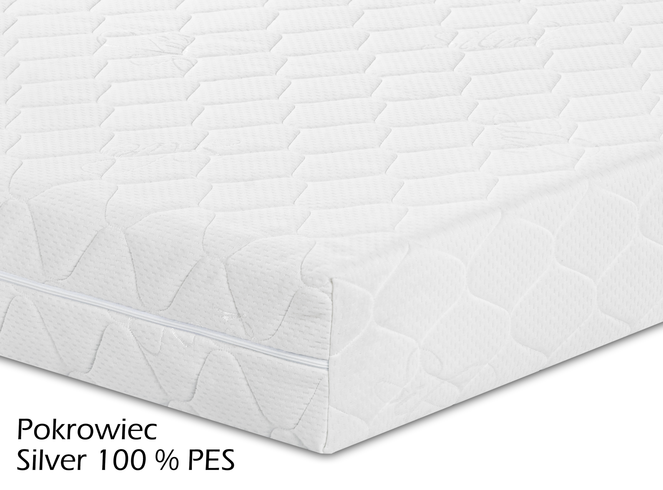 Delfinus - obrazek 10