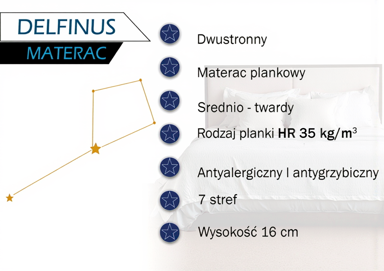 Delfinus - obrazek 11